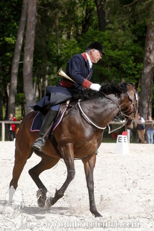 CFCC-2019-00795