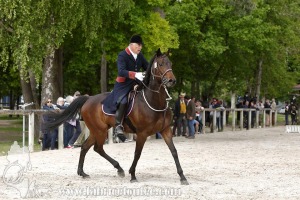 CFCC-2019-00797