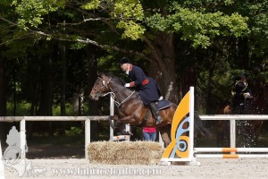 CFCC-2019-00799