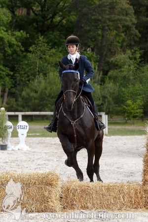 CFCC-2019-00808