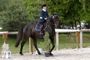 CFCC-2019-00811
