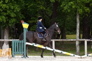 CFCC-2019-00815
