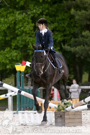 CFCC-2019-00817