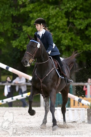 CFCC-2019-00818