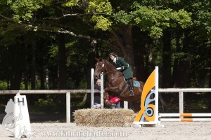 CFCC-2019-00826