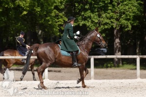 CFCC-2019-00827