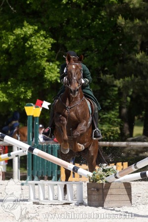 CFCC-2019-00829