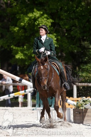 CFCC-2019-00831