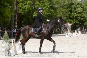CFCC-2019-00840