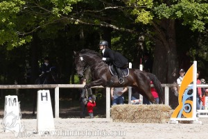 CFCC-2019-00842