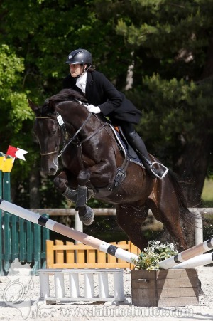 CFCC-2019-00847