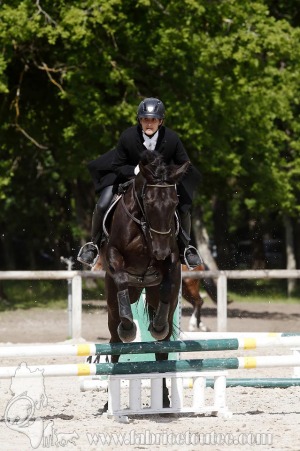 CFCC-2019-00849