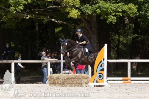 CFCC-2019-00856