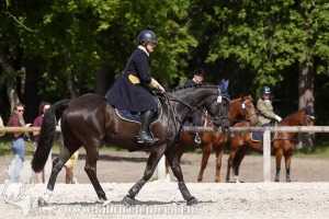 CFCC-2019-00858