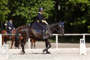 CFCC-2019-00859