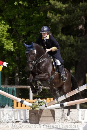 CFCC-2019-00862