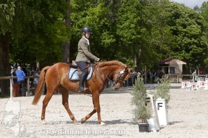 CFCC-2019-00874