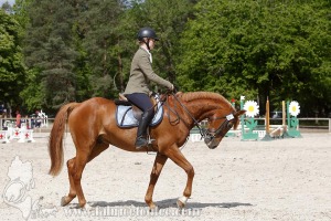 CFCC-2019-00875