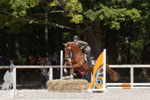 CFCC-2019-00876
