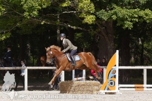 CFCC-2019-00877