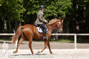 CFCC-2019-00878