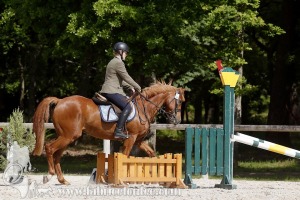 CFCC-2019-00879