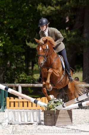 CFCC-2019-00880