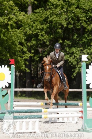 CFCC-2019-00883