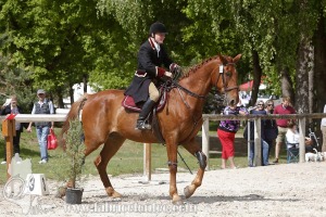 CFCC-2019-00890