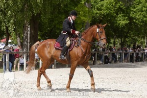 CFCC-2019-00891