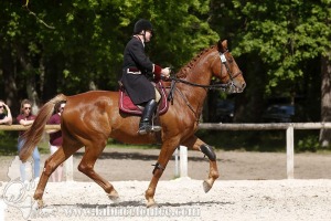CFCC-2019-00895