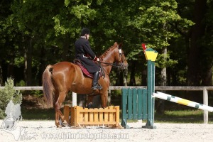 CFCC-2019-00896