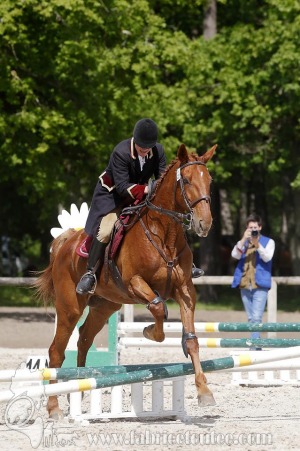 CFCC-2019-00901