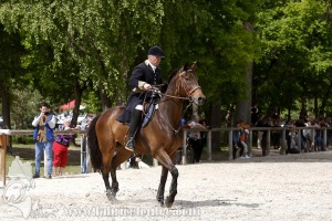 CFCC-2019-00905