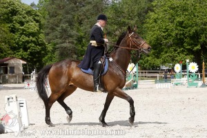 CFCC-2019-00907