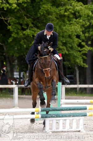 CFCC-2019-00913