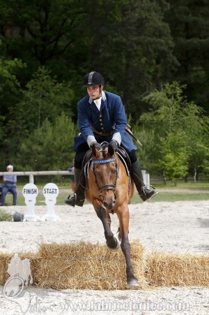 CFCC-2019-00916