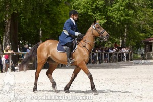 CFCC-2019-00918