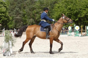 CFCC-2019-00919