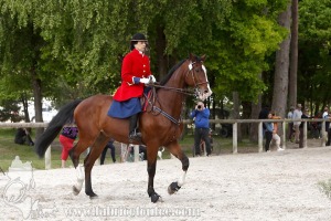 CFCC-2019-00926