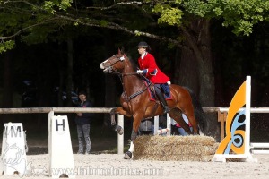 CFCC-2019-00929