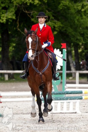 CFCC-2019-00935