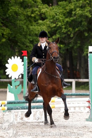 CFCC-2019-00951