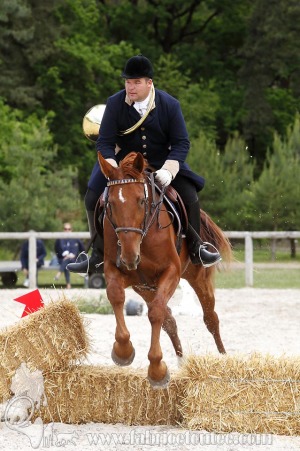 CFCC-2019-00954