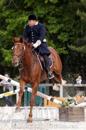 CFCC-2019-00962