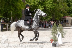 CFCC-2019-00970