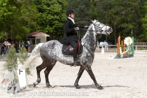 CFCC-2019-00971