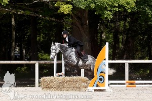 CFCC-2019-00972