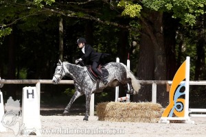 CFCC-2019-00973