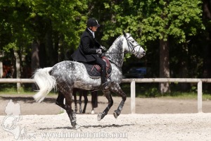 CFCC-2019-00974